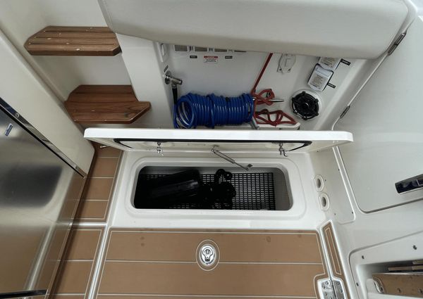 Boston Whaler 350 Realm image