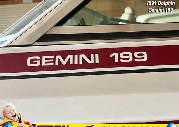 Dolphin Gemini 199 BR image