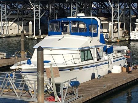 Defever OFFSHORE-CRUISER image