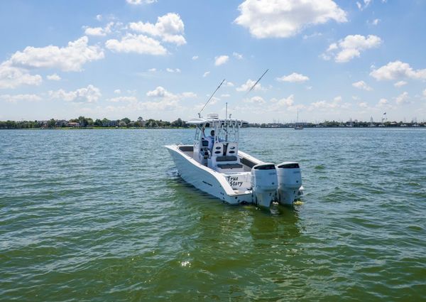 Cape Horn 31 T image