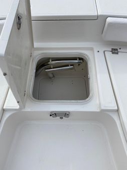 Robalo 246 Cayman image