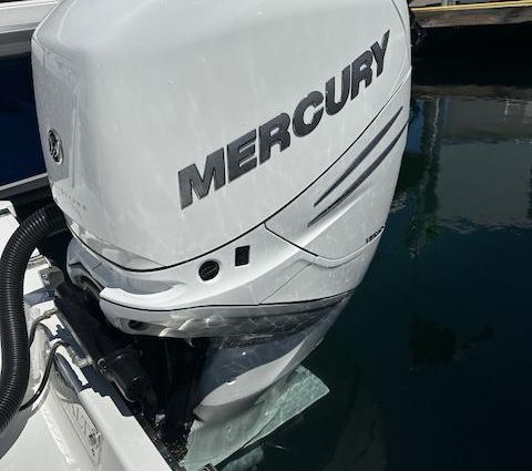 Cobalt R6 Outboard image