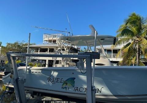 Cobia 301