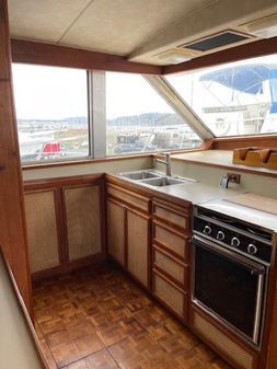 Bertram CONVERTIBLE image