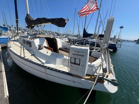 Islander 36 image