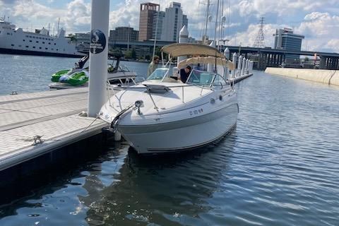 Sea-ray 260-SUNDANCER image