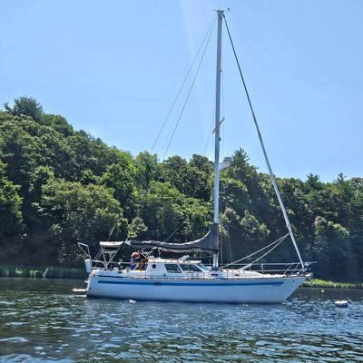 Nautilus Pilothouse 36 - main image