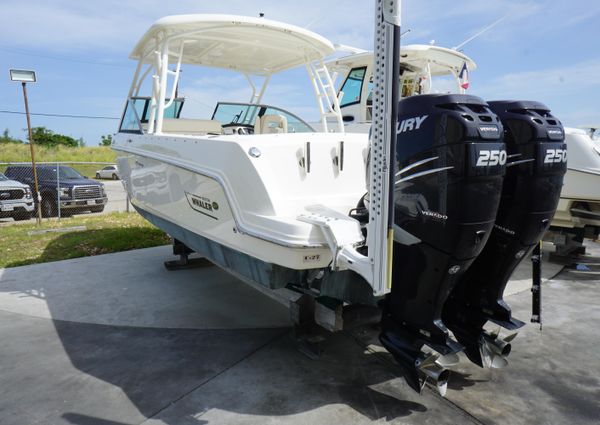 Boston Whaler 270 Vantage image