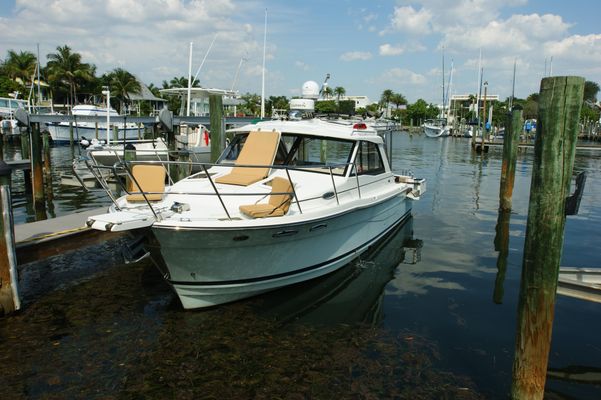 Cutwater 30 Sport Top - main image