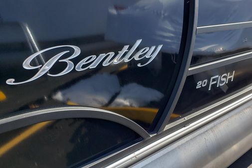 Bentley Pontoons 203 Fish image