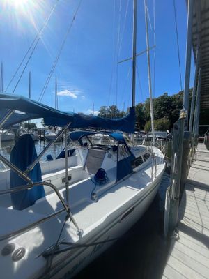 Catalina 320 - main image