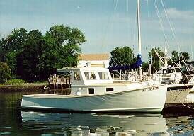 Arno LOBSTER-STYLE PICNIC CRUISER 