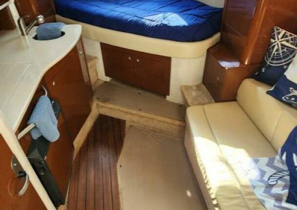 Sea Ray 310 Sundancer image