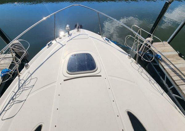 Sea Ray 310 Sundancer image