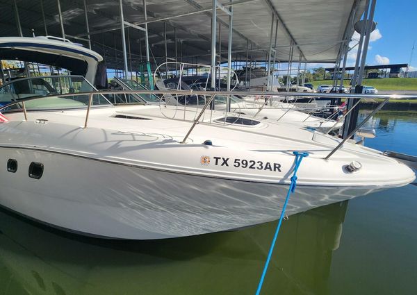 Sea Ray 310 Sundancer image