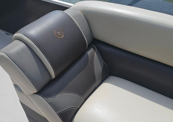 Premier 310 Escalante image