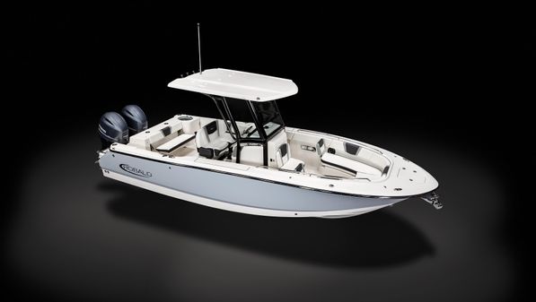 Robalo R250 image