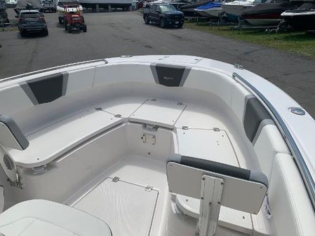 Robalo R250 image