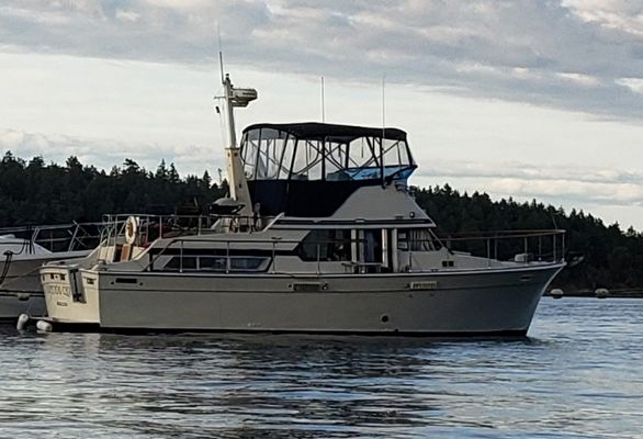 Tollycraft Tri Cabin - main image