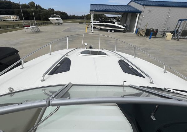 Sea Ray 260 Sundancer image