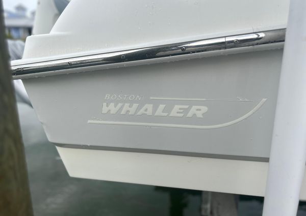 Boston-whaler 240-DAUNTLESS image