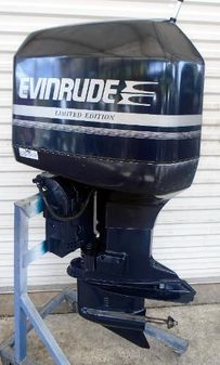 Evinrude 200hp 20