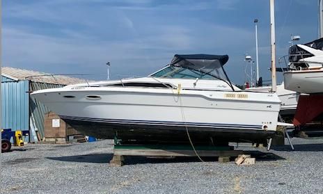 Sea Ray 300 Weekender
