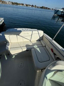 Sea-ray 230-SUNDECK image