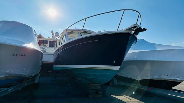 Back Cove 30