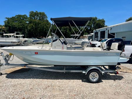 Boston-whaler 17-MONTAUK image