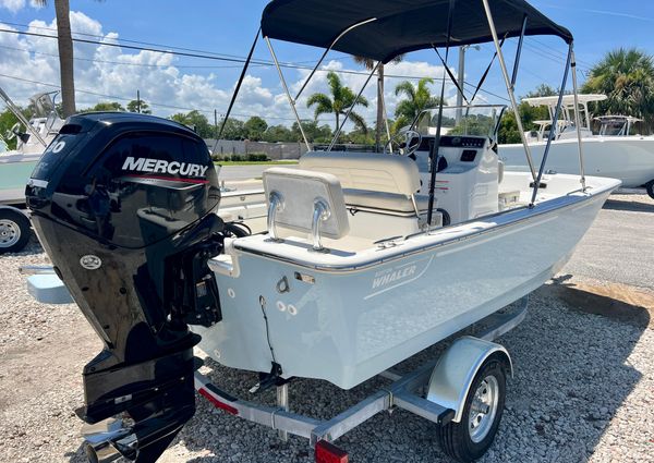 Boston-whaler 17-MONTAUK image