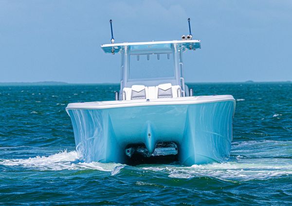 Invincible 35-CATAMARAN image