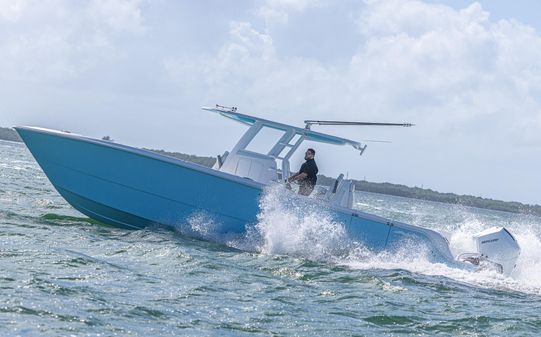 Invincible 35-CATAMARAN image