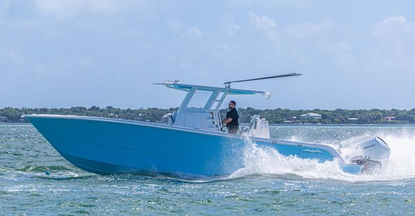 Invincible 35-CATAMARAN image