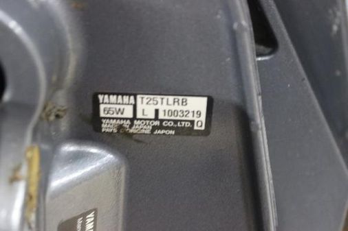 Yamaha T25TLRB image