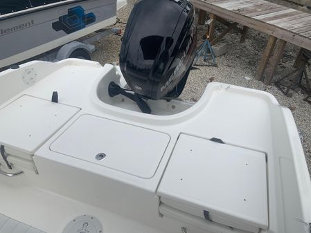 Bayliner Element F18 image