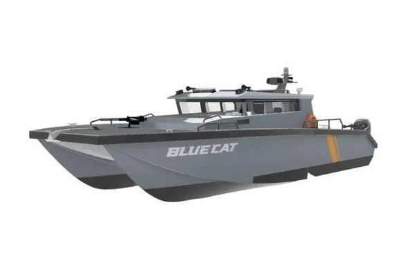 Bluecat 43-DEFENDER - main image