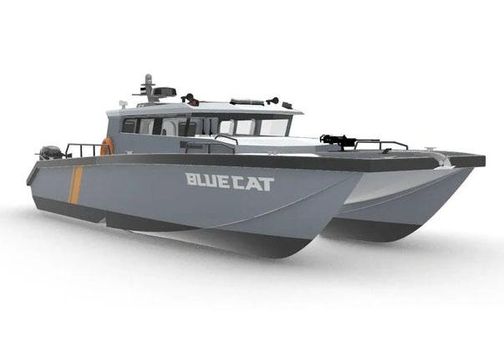 Bluecat 43-DEFENDER image