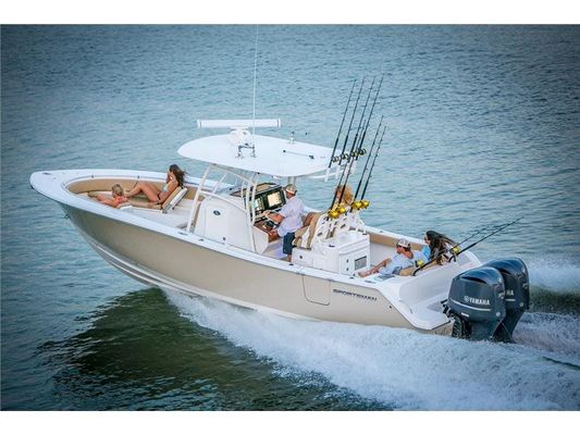 Sportsman Open 312 - main image