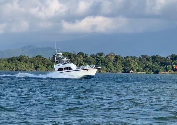 Hatteras 50-CONVERTIBLE image