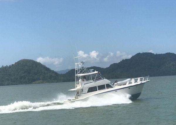 Hatteras 50-CONVERTIBLE image