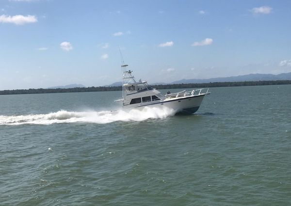 Hatteras 50-CONVERTIBLE image