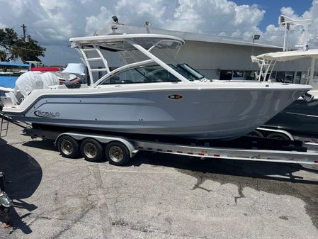 Robalo R317-DUAL-CONSOLE image