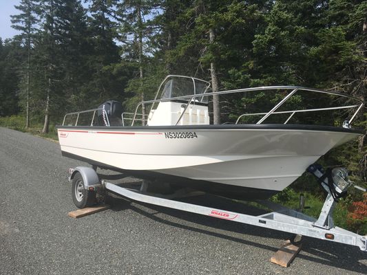 Boston Whaler Montauk 19 - main image