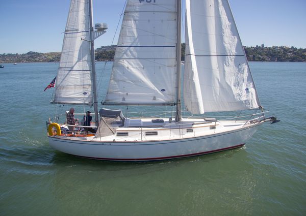 Pearson 365-KETCH image