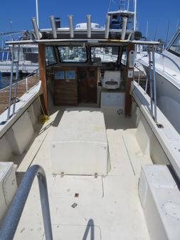 C-Hawk 29 Sport Cabin image