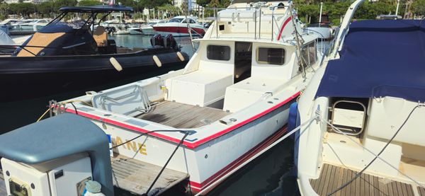 Bertram 31 Flybridge Cruiser image