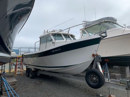 Osprey 26-FISHERMAN image