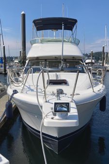 Bayliner 3388 Command Bridge Motoryacht image