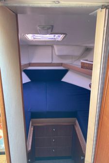 Bayliner 3388 Command Bridge Motoryacht image